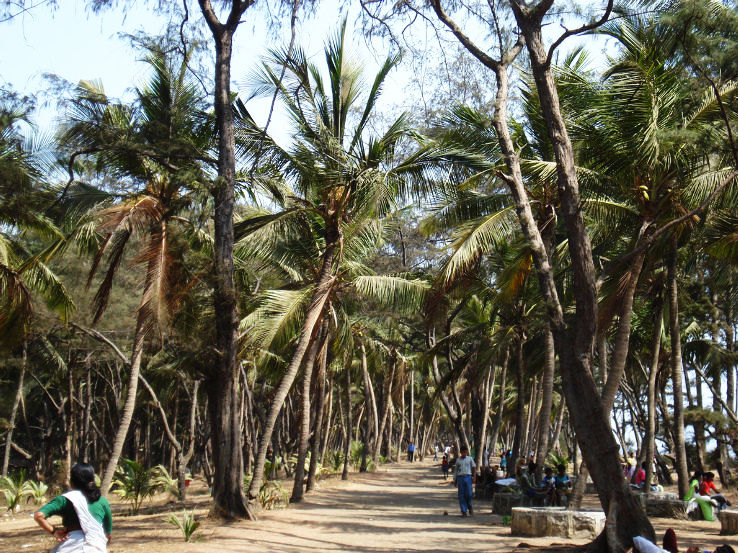 9. Arnala Beach